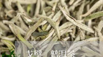 戈壁 普洱茶/2023042828485